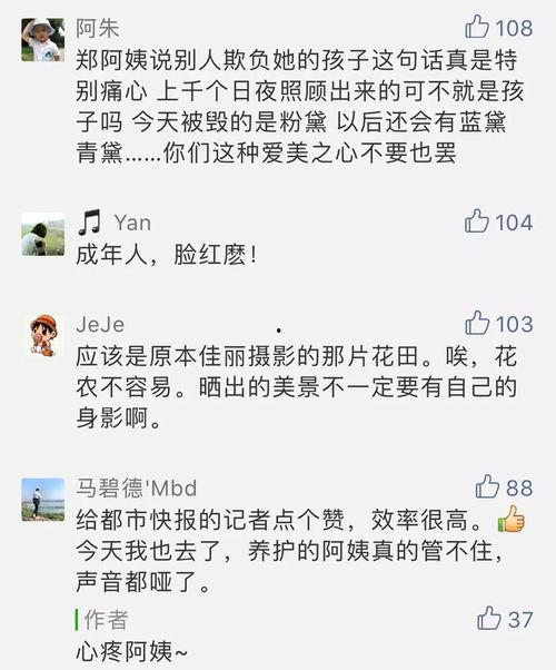 今日爆料快报在哪里看,今日爆料快报最新发布平台一览 第2张 今日爆料快报在哪里看,今日爆料快报最新发布平台一览 第2张
