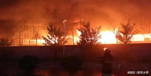 南阳爆料最新事件视频,视频揭露惊人真相,网友热议不断 第1张 南阳爆料最新事件视频,视频揭露惊人真相,网友热议不断 第1张