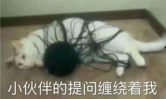 呆娃崩溃爆料视频大全,揭秘背后真相与情感波动 第1张 呆娃崩溃爆料视频大全,揭秘背后真相与情感波动 第1张